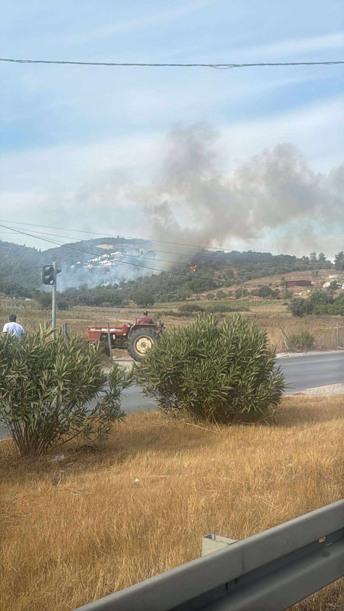 Bodrum-Milas Yolunda Zeytinlik Alanda Yangın, Ekipler Bölgeye Sevk Edildi 1